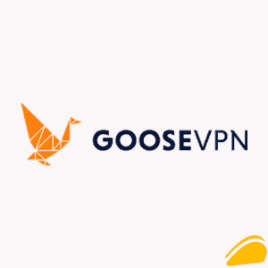 appsumo goose vpn