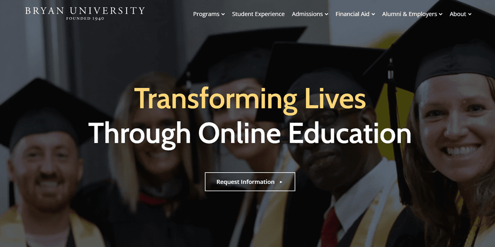 brian university elementor website examples