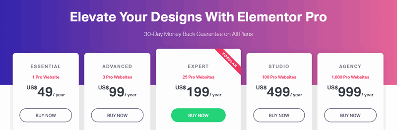 elementor pricing